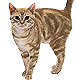 Uporabniški avatar