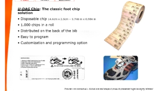 Cip 01.JPG