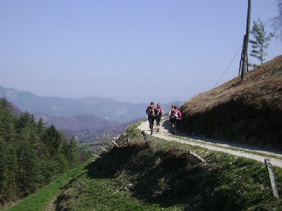 Image00007.jpg