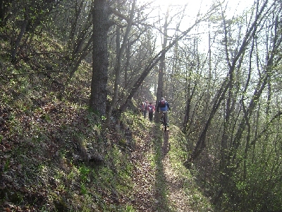 Image00002.jpg