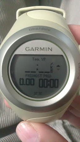 garmin 405-virtualni partner.jpg