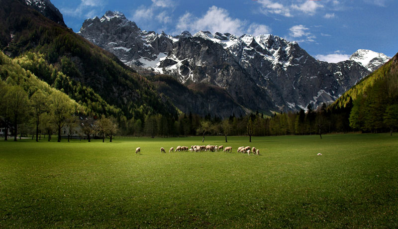 logarska-dolina-slovenia-179cca5a-a3c1-43d1-8778-be3f9b57b1bf.jpg