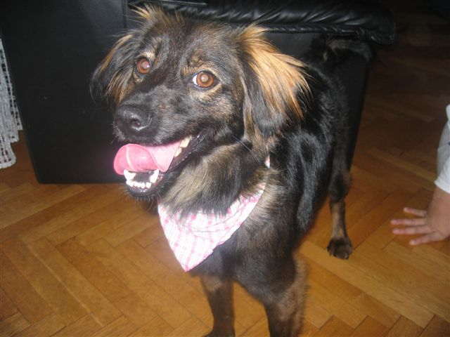 LUCY oktober 2009 025.jpg