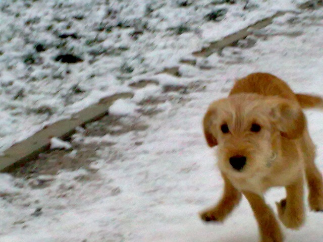 Slika_550 small.jpg