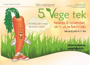 5.-vege-tek-jpg-300x215.jpg