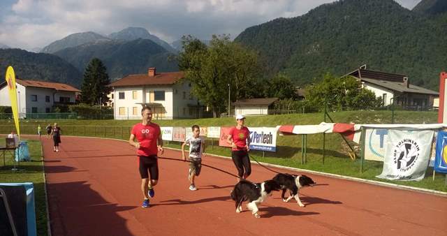 tolmin.jpeg