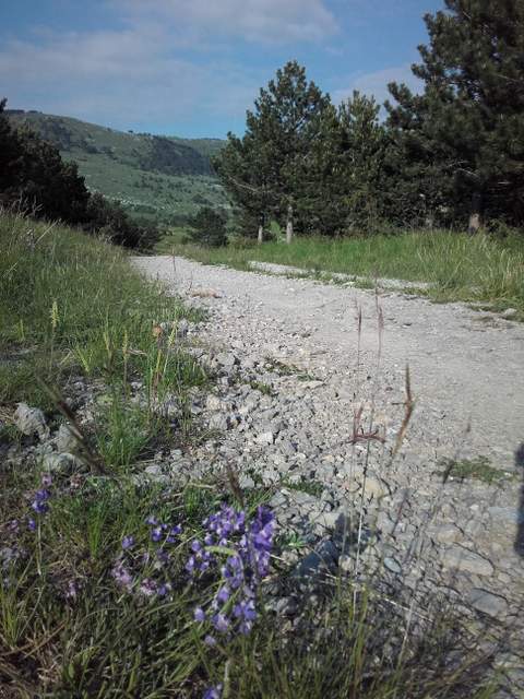 20160522_180029.jpg