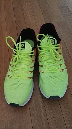 NIKE-zoom-pegasus-33.jpg