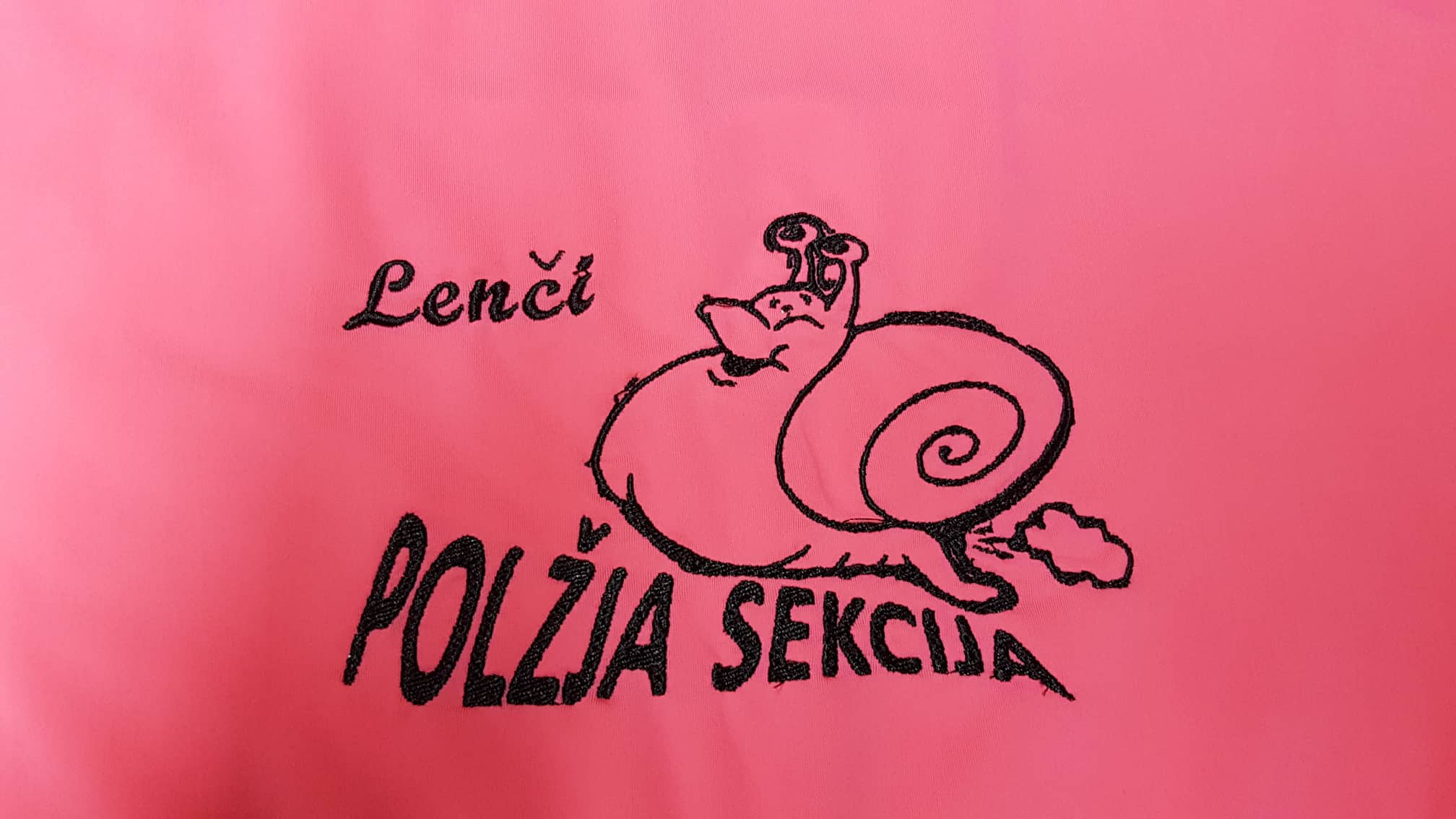 polzja sekcija.jpg