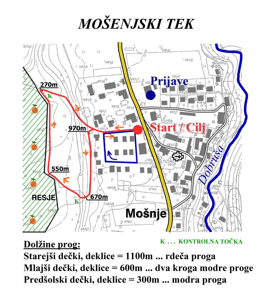 Progamosnjskitek1100_2008.jpg