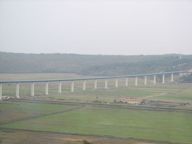 Picture 910.jpg