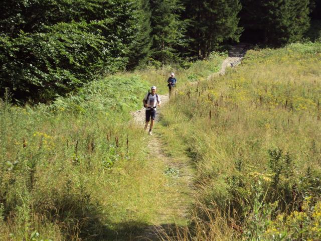 DSC00195 (Small).JPG