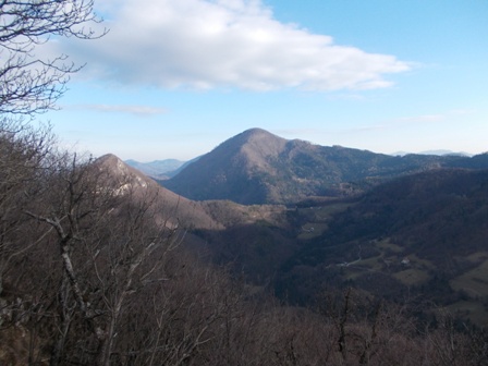KAMNIK - GOZDNIK.JPG