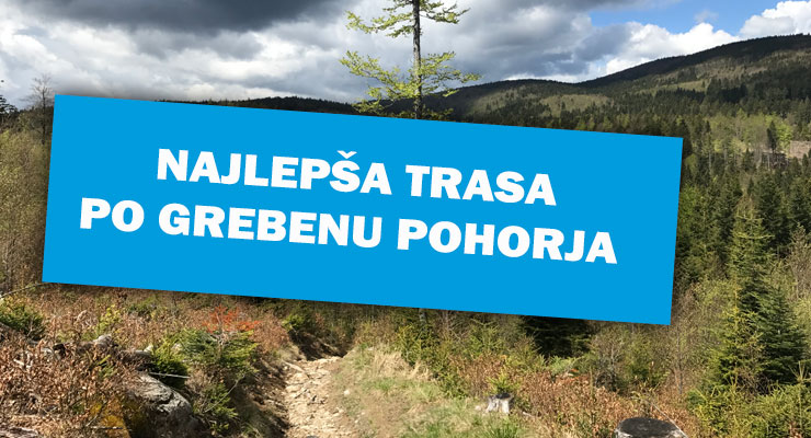 Pohorski gozdni tek vas vabi v nedeljo 3. septembra
