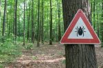 Tekači v naravi, POZOR klopi – enostavni ukrepi za učinkovito zaščito pred klopi