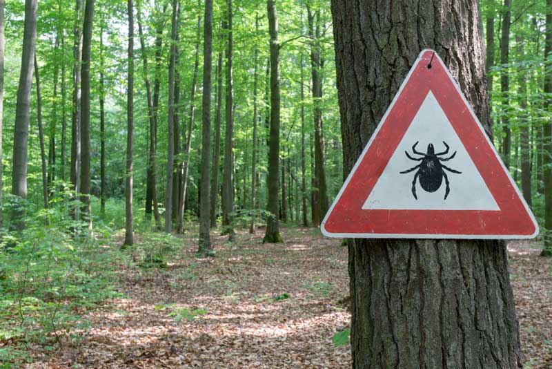 Tekači v naravi, POZOR klopi – enostavni ukrepi za učinkovito zaščito pred klopi